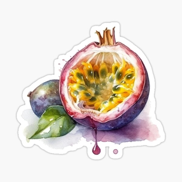 Passion fruits, 2024 Original Matted Watercolor Painting