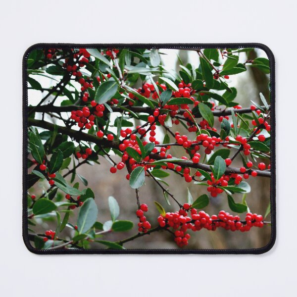 Item preview, Cheery Red designed and sold by AGODIPhoto.