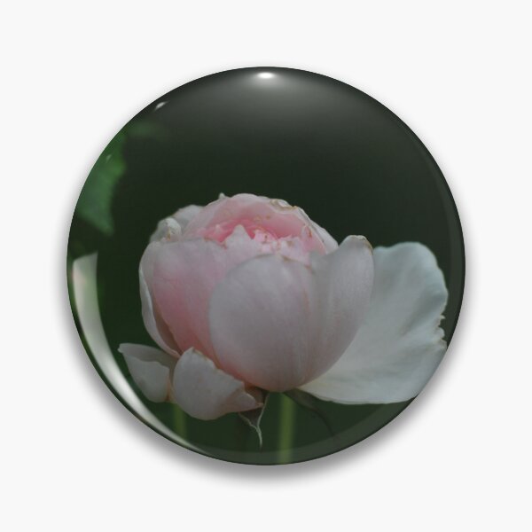 Item preview, Piony bud designed and sold by BlossomArtPhoto.