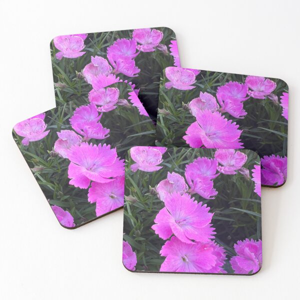 Item preview, Cheddar Pink designed and sold by Betsy Phillips.