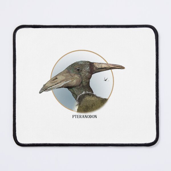 Item preview, Pteranodon head in profile designed and sold by Ebulon.
