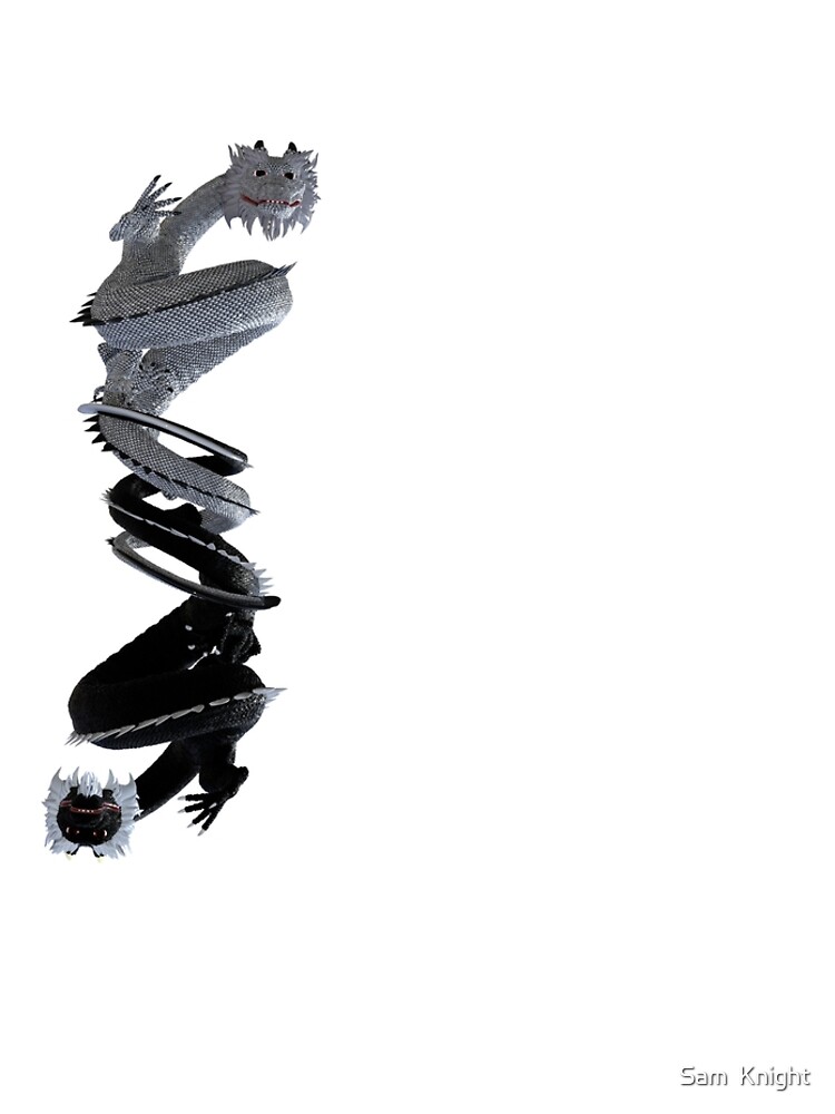 Yin and Yang, the Dragon Brothers (II) by Sam-Knight