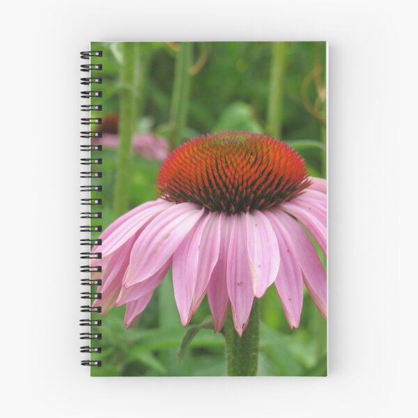 Item preview, Coneflower  designed and sold by MimiHillier.