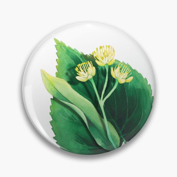 Item preview, Watercolor linden plant. designed and sold by Ekaterina Glazkova.