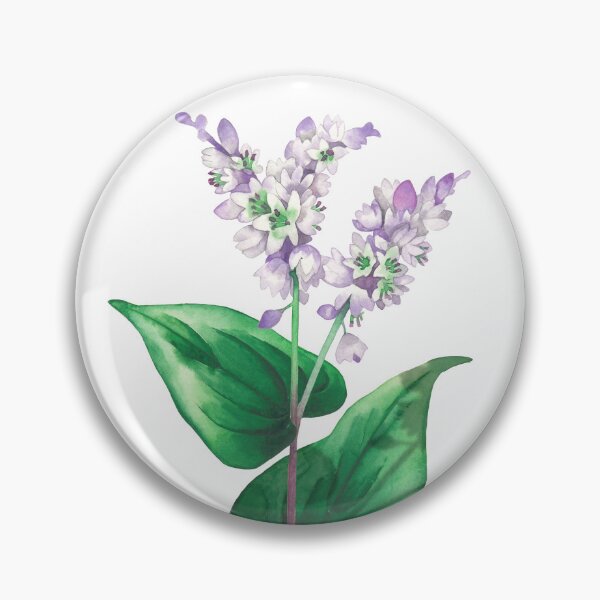 Item preview, Watercolor buckwheat plant designed and sold by Ekaterina Glazkova.