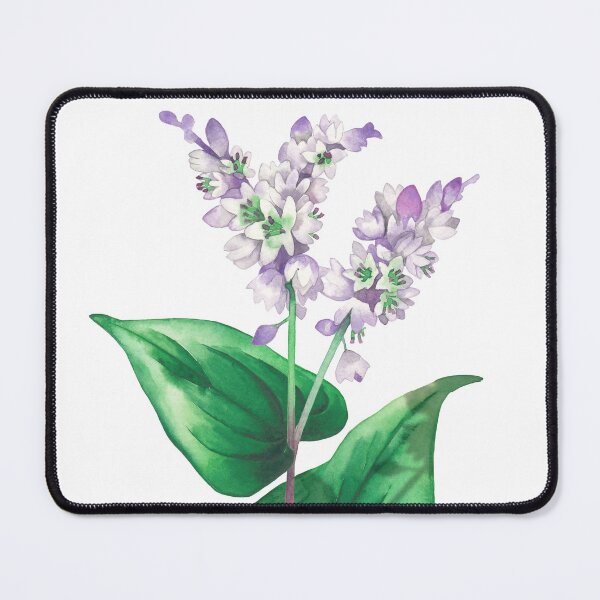 Item preview, Watercolor buckwheat plant designed and sold by Ekaterina Glazkova.