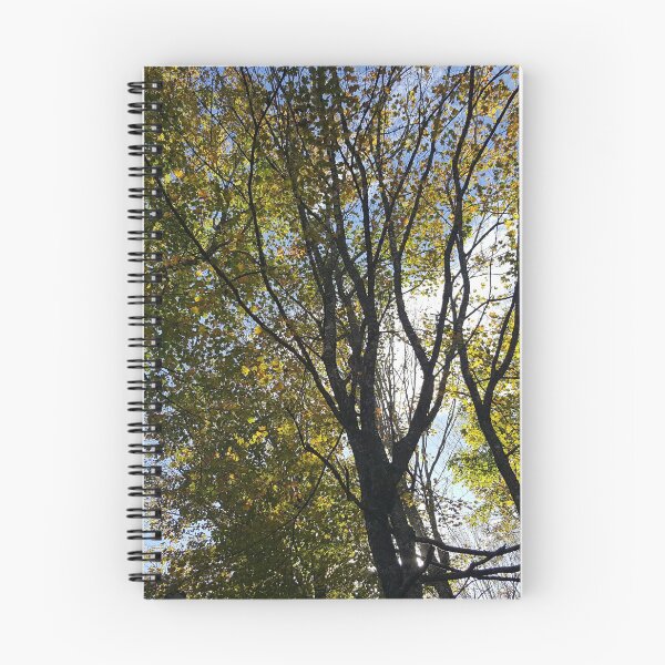 Item preview, Un pedazo de cielo designed and sold by J. Robin Whitley.
