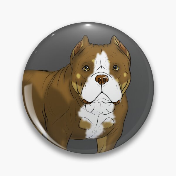Artikelvorschau, American Bully || Schokoladen-Trikolore|| entworfen und verkauft von Bullyscape.