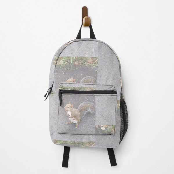 Item preview, squirrel scoiattolo designed and sold by Casa Dolce Inverno Italia .