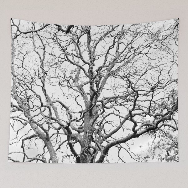Item preview, Tree branches designed and sold by Gaspar Avila.