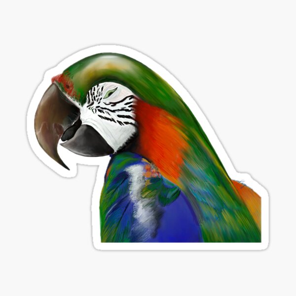 Item preview, Majestic Macaw designed and sold by Tarastar05.
