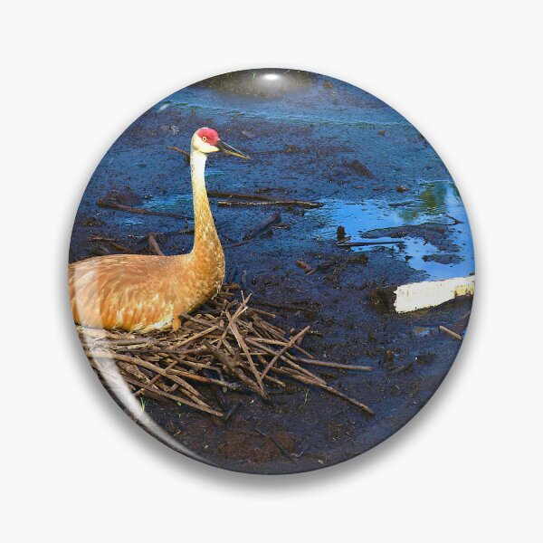 Item preview, Nesting Sandhill Crane designed and sold by MercerImages.