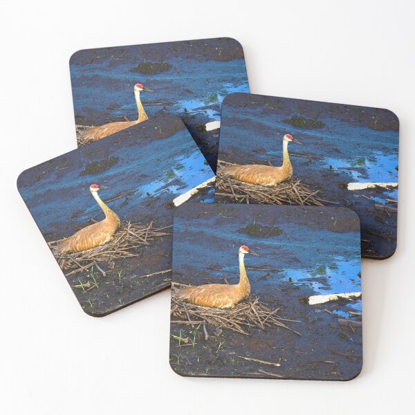 Item preview, Nesting Sandhill Crane designed and sold by MercerImages.