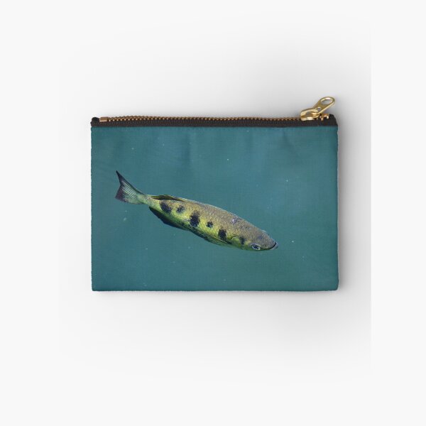 Item preview, An archer fish just below the surface of the water. designed and sold by EAnneH.