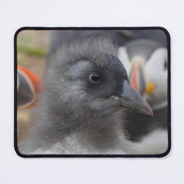 Item preview, Puffling designed and sold by LaurenTucker.