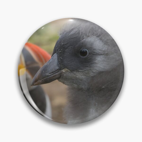 Item preview, Puffling designed and sold by LaurenTucker.