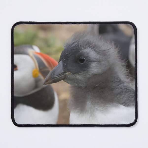 Item preview, Puffling designed and sold by LaurenTucker.