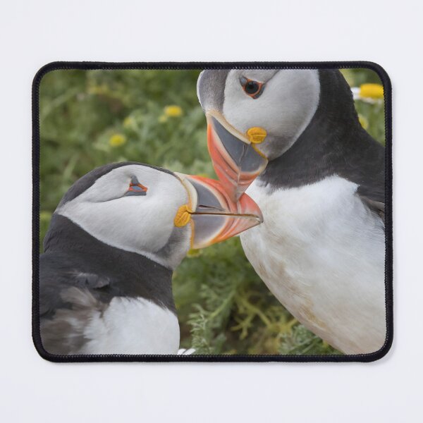 Item preview, Puffin designed and sold by LaurenTucker.