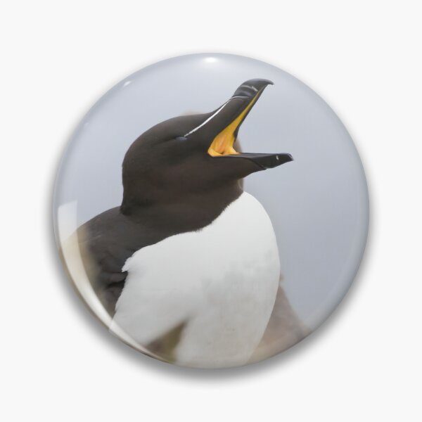 Item preview, Razorbill designed and sold by LaurenTucker.