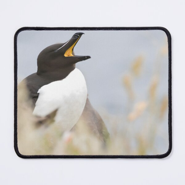 Item preview, Razorbill designed and sold by LaurenTucker.