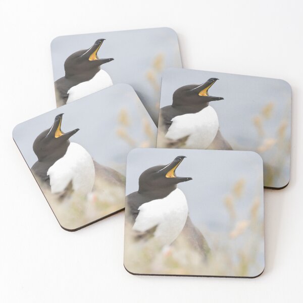 Item preview, Razorbill designed and sold by LaurenTucker.