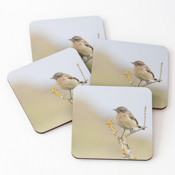 Item preview, Stonechat designed and sold by LaurenTucker.
