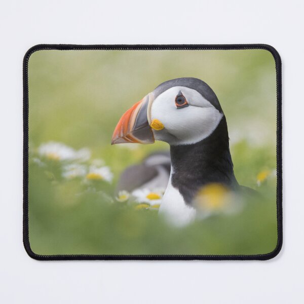 Item preview, Puffin designed and sold by LaurenTucker.