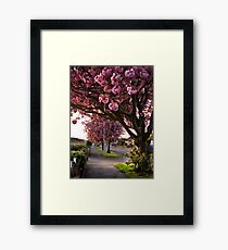 Suburban Spring Framed Print