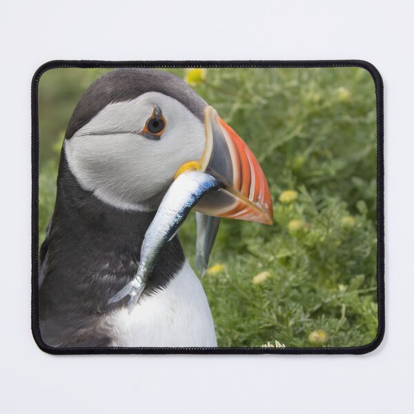 Item preview, Puffin designed and sold by LaurenTucker.