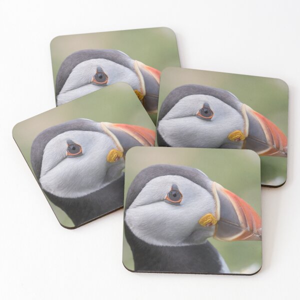 Item preview, Puffin designed and sold by LaurenTucker.