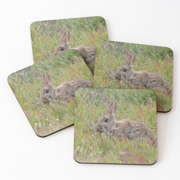 Item preview, Rabbit designed and sold by LaurenTucker.