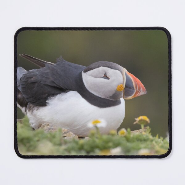 Item preview, Puffin designed and sold by LaurenTucker.