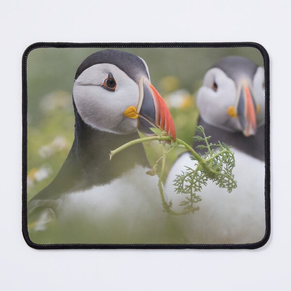 Item preview, Puffin designed and sold by LaurenTucker.