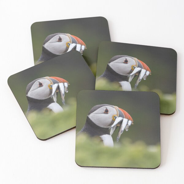 Item preview, Puffin designed and sold by LaurenTucker.