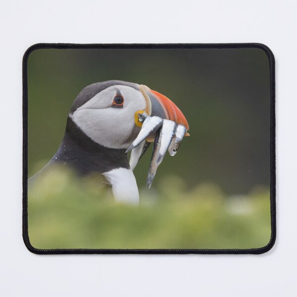 Item preview, Puffin designed and sold by LaurenTucker.