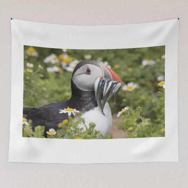 Item preview, Puffin designed and sold by LaurenTucker.