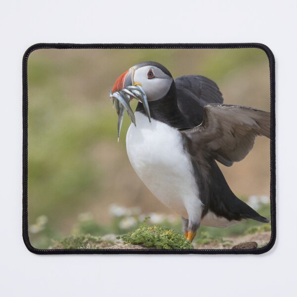 Item preview, Puffin designed and sold by LaurenTucker.