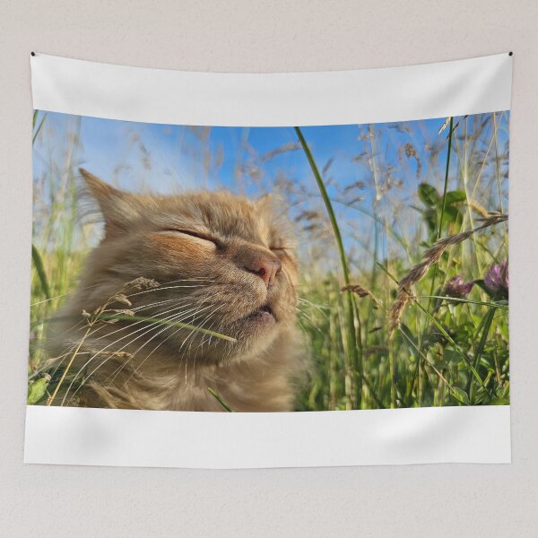 Item preview, Cat enjoys among the grass. designed and sold by mary02.