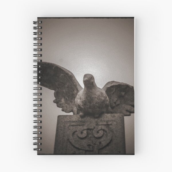 Artikelvorschau, Feine Kunst-Fotografie gemacht mit Toy Camera - Vogel-Erinnerungsstatue entworfen und verkauft von Christopher Ball.