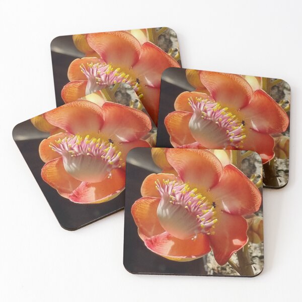 Item preview, Cannonball tree blossom designed and sold by ConPapillon.