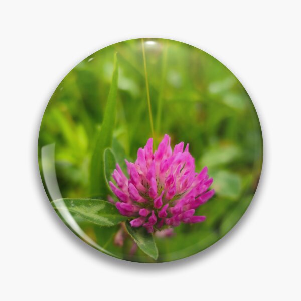Item preview, Red clover designed and sold by mary02.