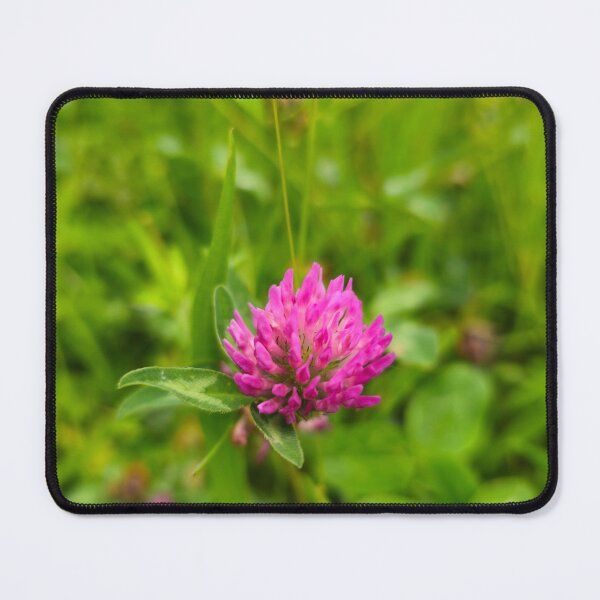 Item preview, Red clover designed and sold by mary02.