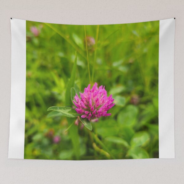 Item preview, Red clover designed and sold by mary02.