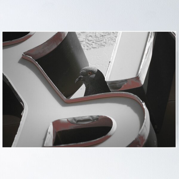 Item preview.