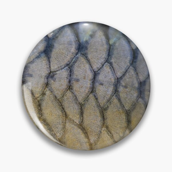 Item preview, Common carp tail designed and sold by mary02.