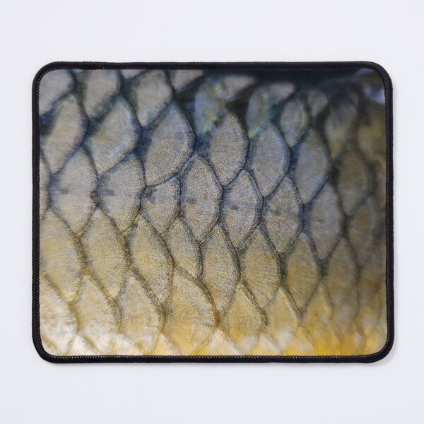 Item preview, Common carp tail designed and sold by mary02.