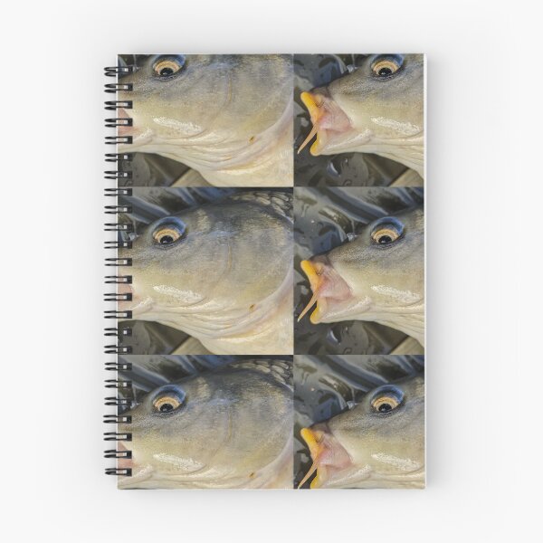 Item preview, Common carp designed and sold by mary02.