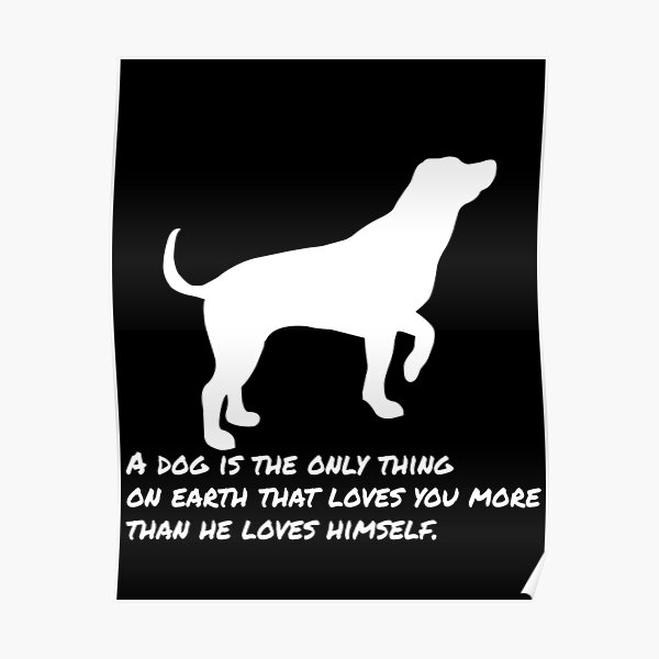 Staffy Dog Love Cute Sweet Animal Wild Poster Field Picture Happy Dog Photo