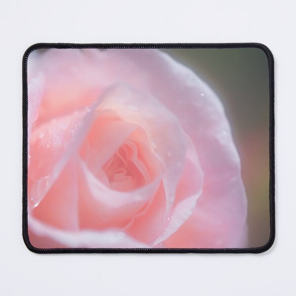 Item preview, Pink Rose designed and sold by photobytableau.