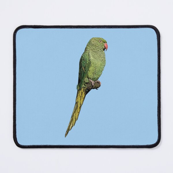 Item preview, Rose-ringed Ring-necked Parakeet Color Design designed and sold by designsasstultd.